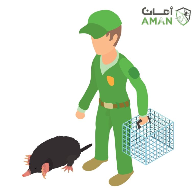 طرد الفئران